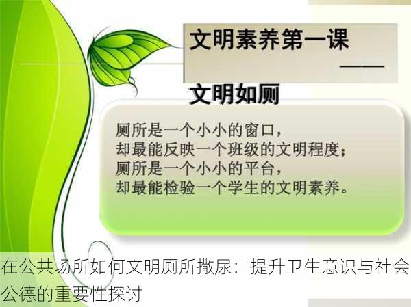 在公共场所如何文明厕所撒尿：提升卫生意识与社会公德的重要性探讨