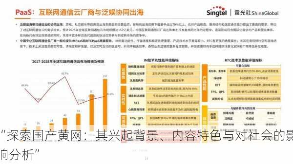 “探索国产黄网：其兴起背景、内容特色与对社会的影响分析”