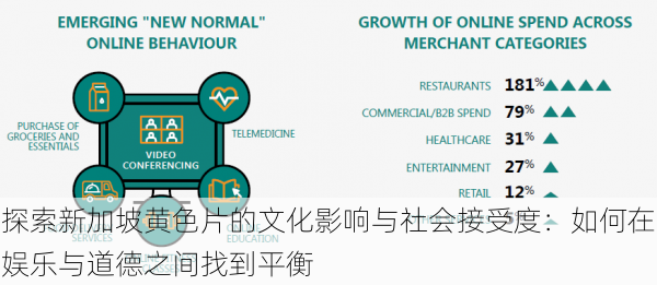 探索新加坡黄色片的文化影响与社会接受度：如何在娱乐与道德之间找到平衡