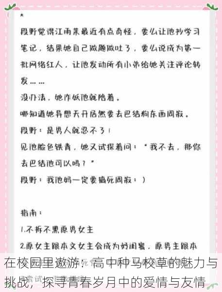 在校园里遨游:高中种马校草的魅力与挑战,探寻青春岁月中的爱情与友情