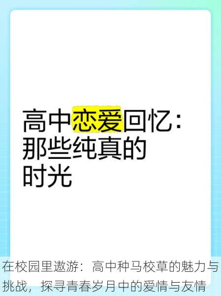 在校园里遨游:高中种马校草的魅力与挑战,探寻青春岁月中的爱情与友情