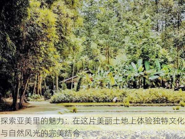 探索亚美里的魅力:在这片美丽土地上体验独特文化与自然风光的完美结合